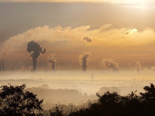 Help Nature Atmosphere Companies