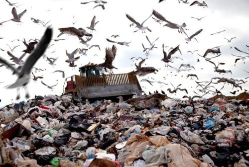 The Urgent Need to Address Environmental Issues: Examining Climate Change, Deforestation, and Water Pollution